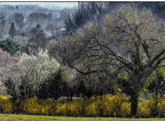 Parco Viatori / Giardino delle Azalee