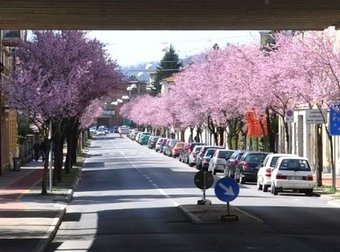 San Gabriele - via delle Prugne Selvatiche